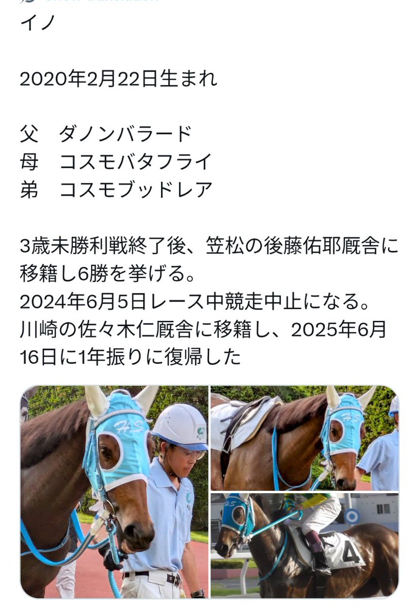カトリーヌン tweet media