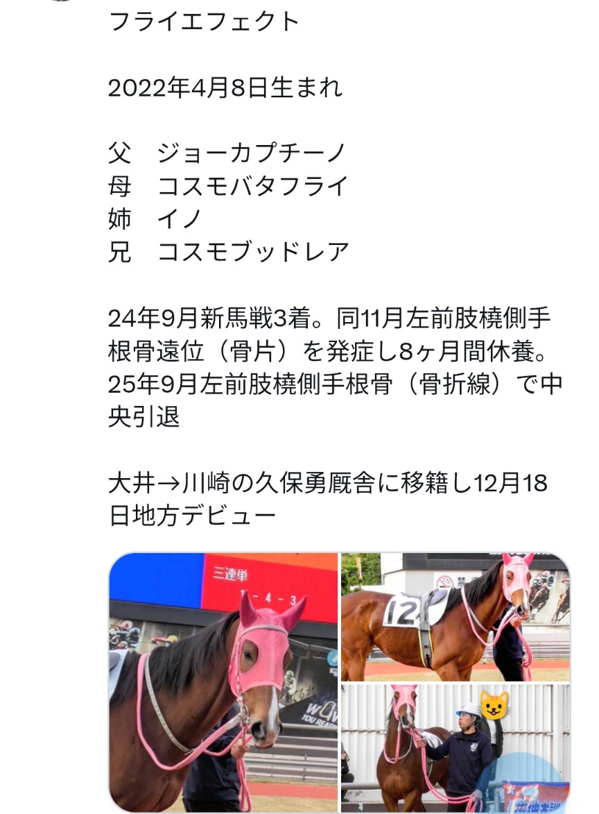 カトリーヌン tweet media