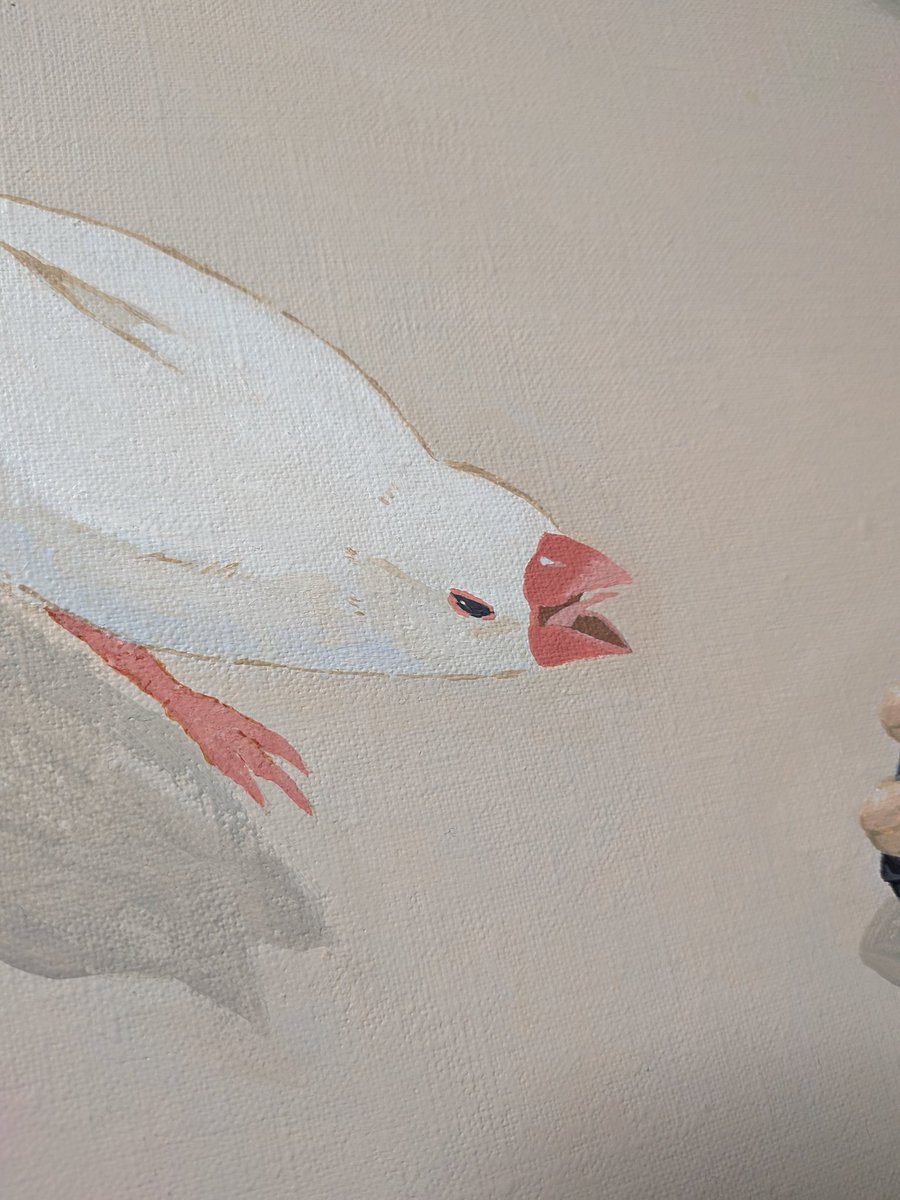 田原あや🐣デジタル文鳥P 福袋まだあります！ (@aya_tahara_) / Posts / X