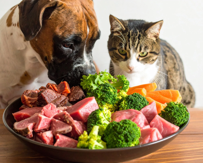 The Open Heart tweet media