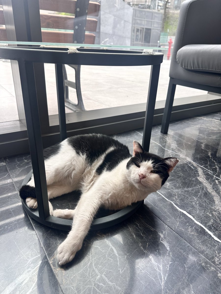 Özür dilerim rahatsız ettim