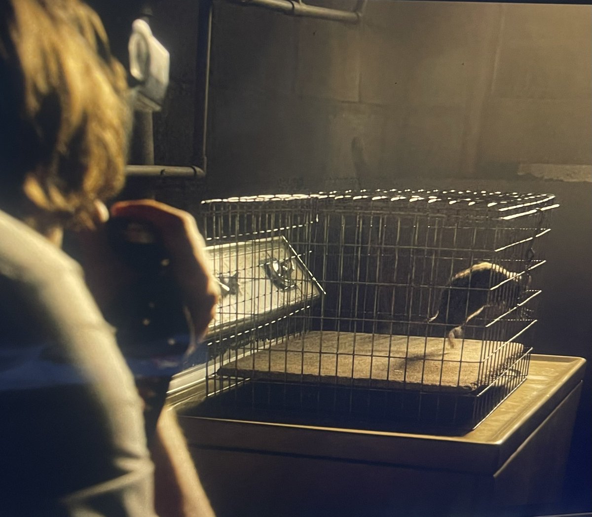 juno || BYLER ENDGAME tweet media