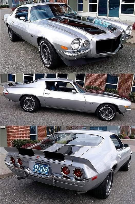 🏁 𝔹 ℝ 𝕀 𝔸 ℕ 🏁 tweet media