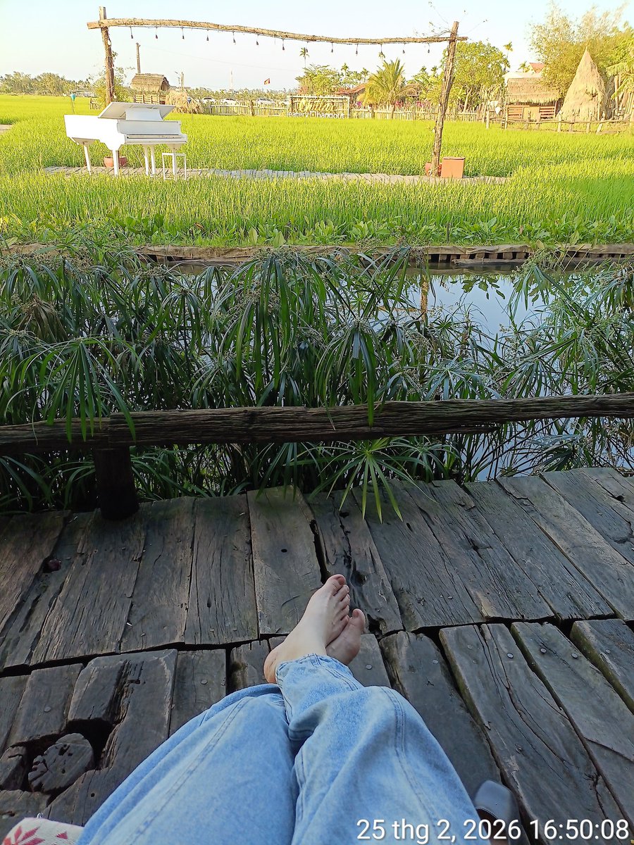 HanhH64255's tweet photo. Gửi mn 1 chiếc view siêu yên bình, sạc đầy năng lượng để mai mình đi mần. Chúc cả nhà tràn đầy hp nhé https://t.co/IfkSk8KiKt