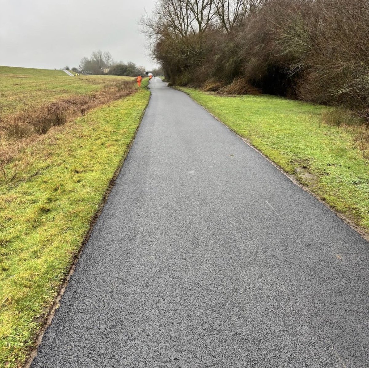 Marshall Surfacing tweet media