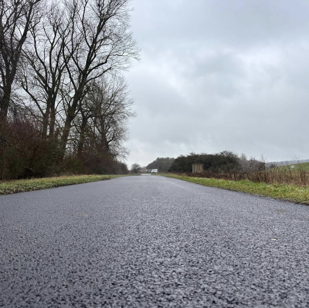 Marshall Surfacing tweet media