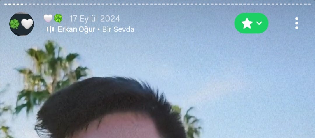 Merve🍀 tweet media