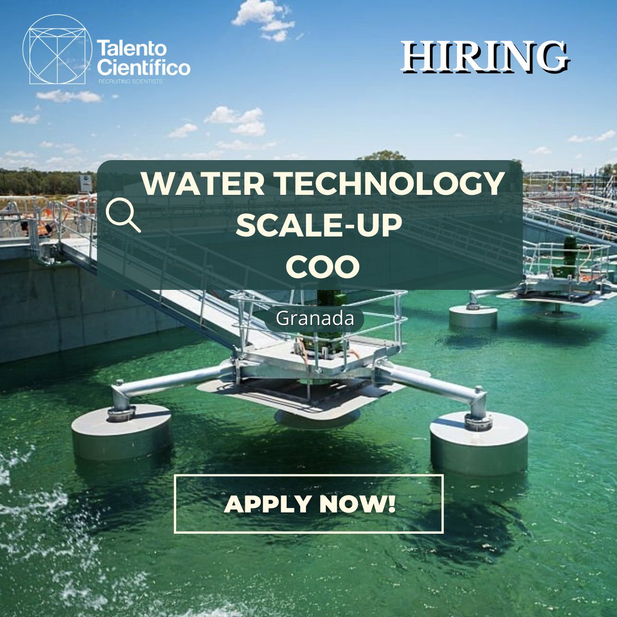 Manolo Castellano tweet media