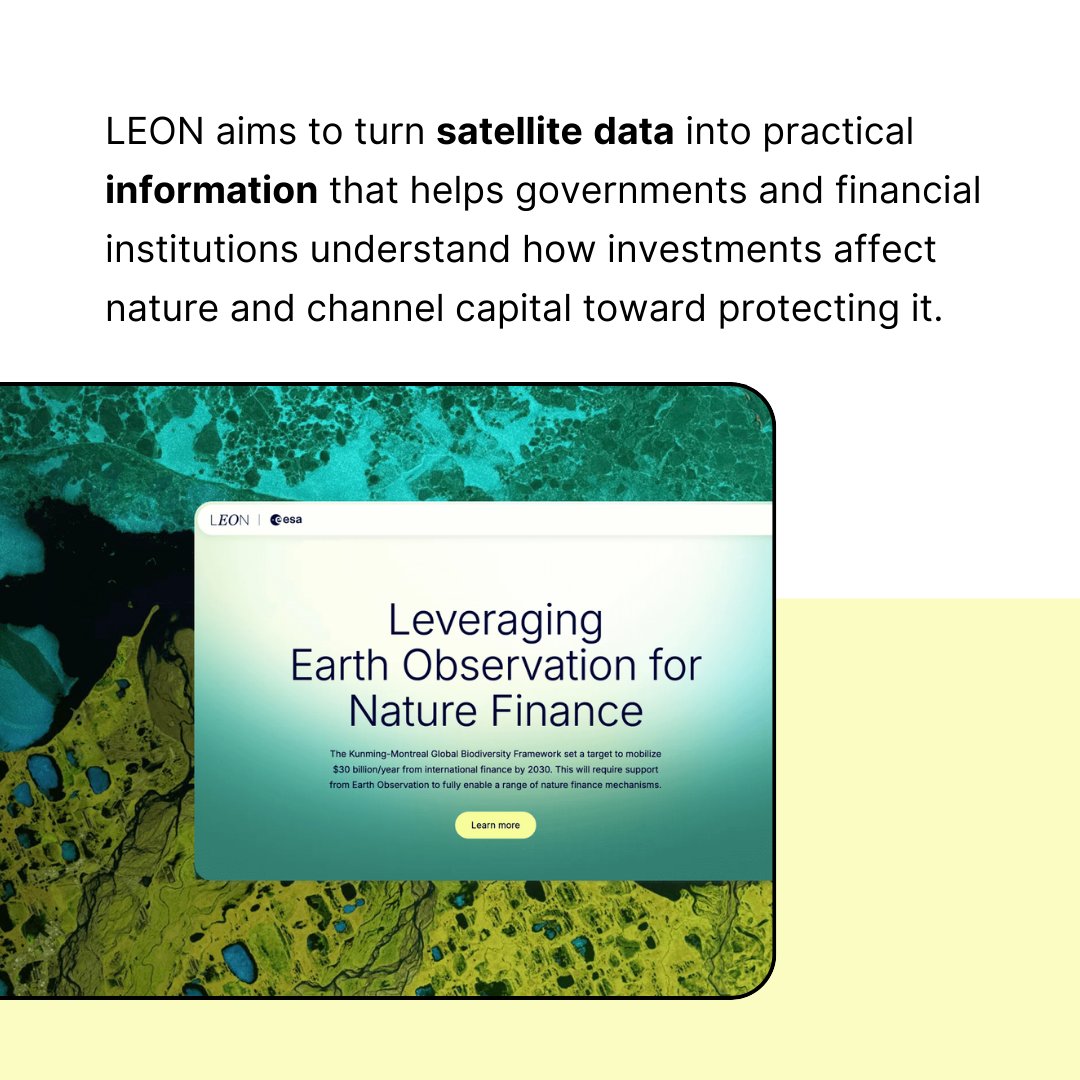 Vizzuality tweet media