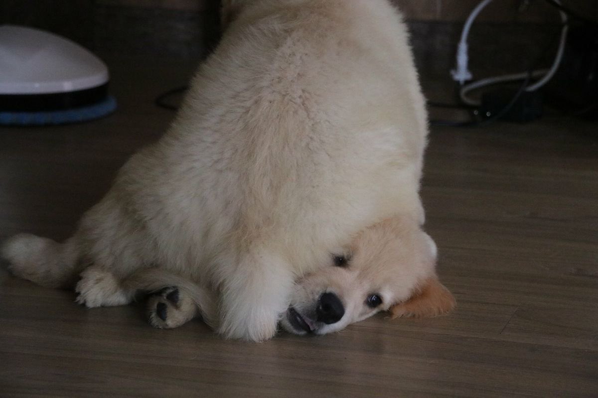 เทอค่าบๆ เพื่อนชอบ แอ้ก