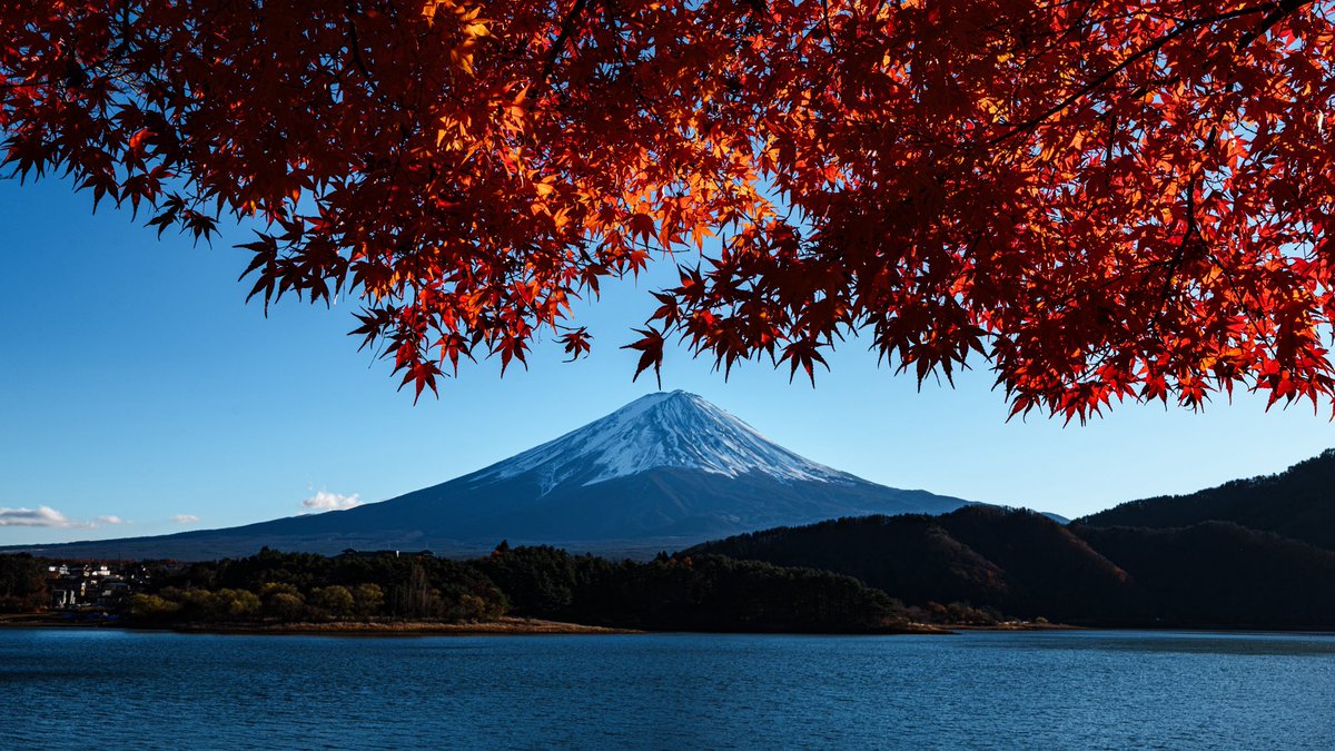 urapon_pic's tweet photo. LUMIX S1RIIとともに過ごした1年。 https://t.co/98VxeeZlax