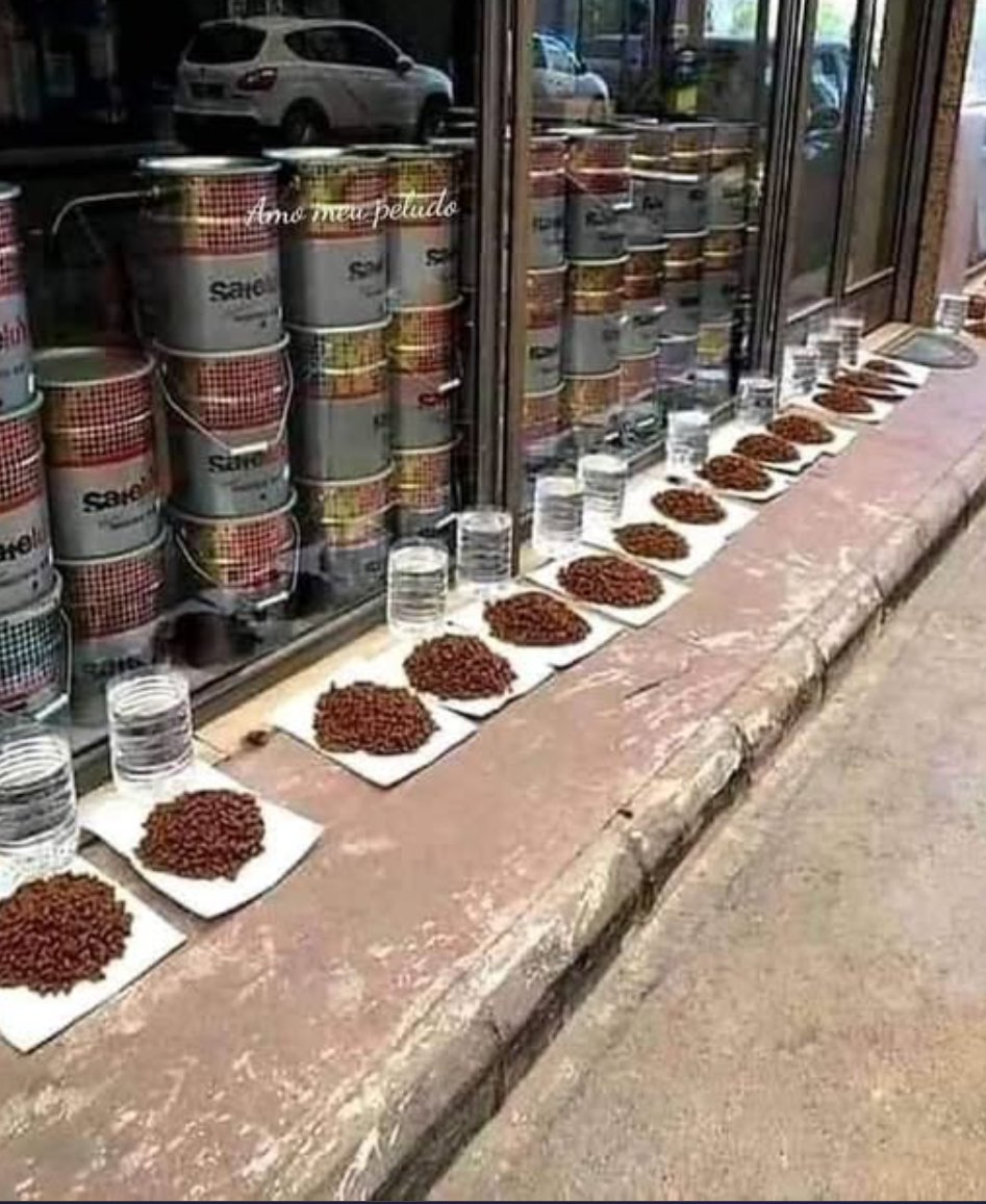 İstanbul'da bir esnaf sokak köpekleri için yemek ve temiz su koymuş. 

Allah da senin kazancını gani gani arttırsın inşallah 👍