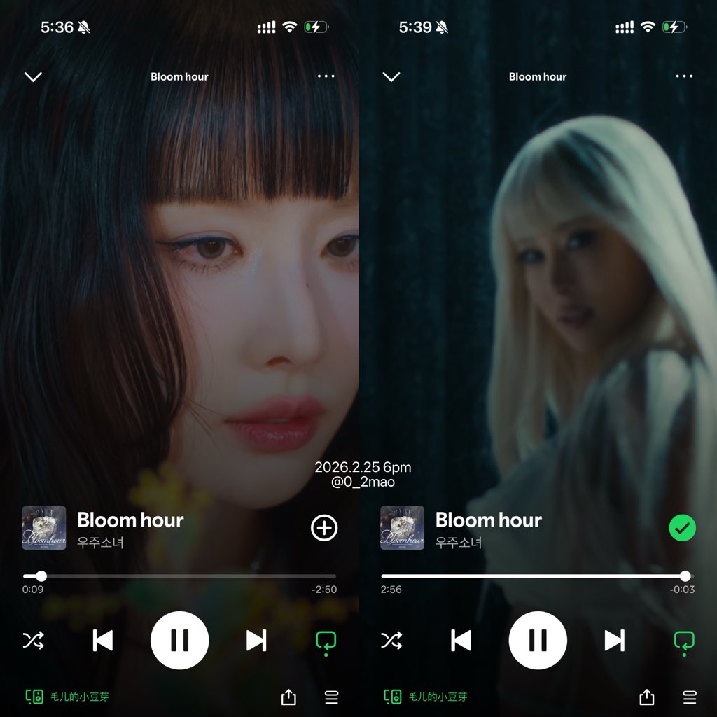 마오마오 tweet media