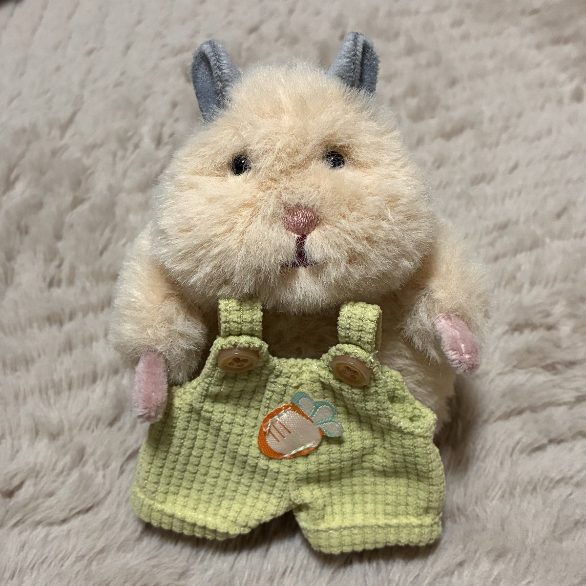 ぬし…？新しいお洋服ちいこいです🐹 10センチ…？ボクふくよかなんで