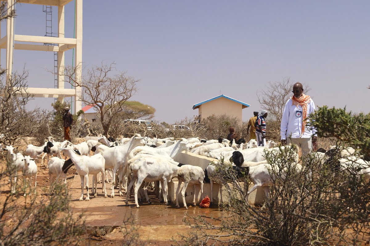 Rehabilitated borehole in Ilix village, Dhusamareb (Galmudug) now a lifeline as drought conditions worsen &amp; berkads run dry. It’s one of 74 water points built/rehabilitated by <a href="/ICRC/">ICRC</a> this past year, serving 500,000+ people. Work already underway for 10 more in drought-hit areas.