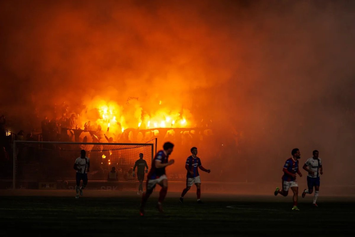 Scottish Supporters Collective tweet media