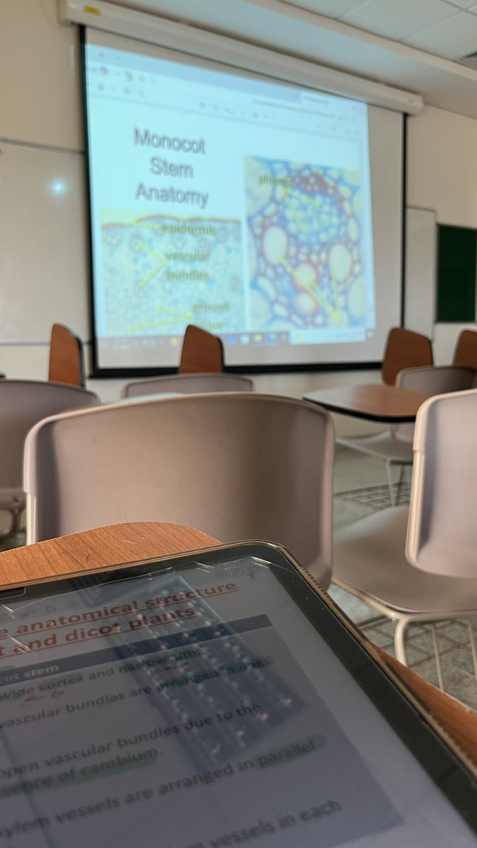 بيـ꙳⋆ tweet media