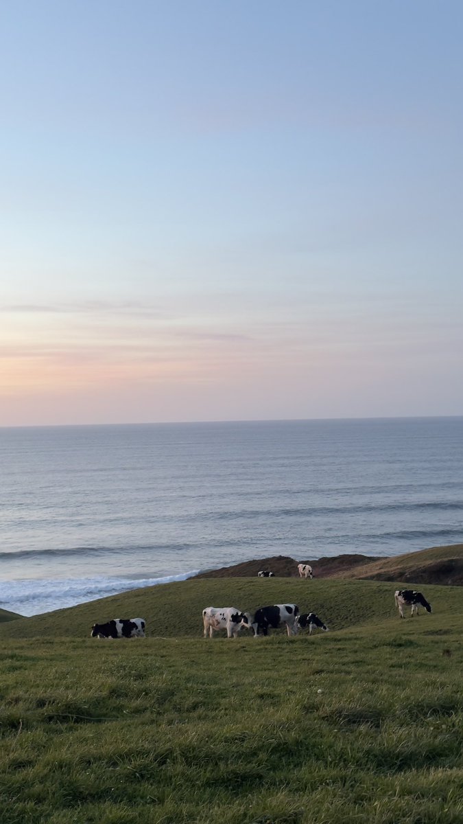 como en casa ❤️‍🩹🧠🩹