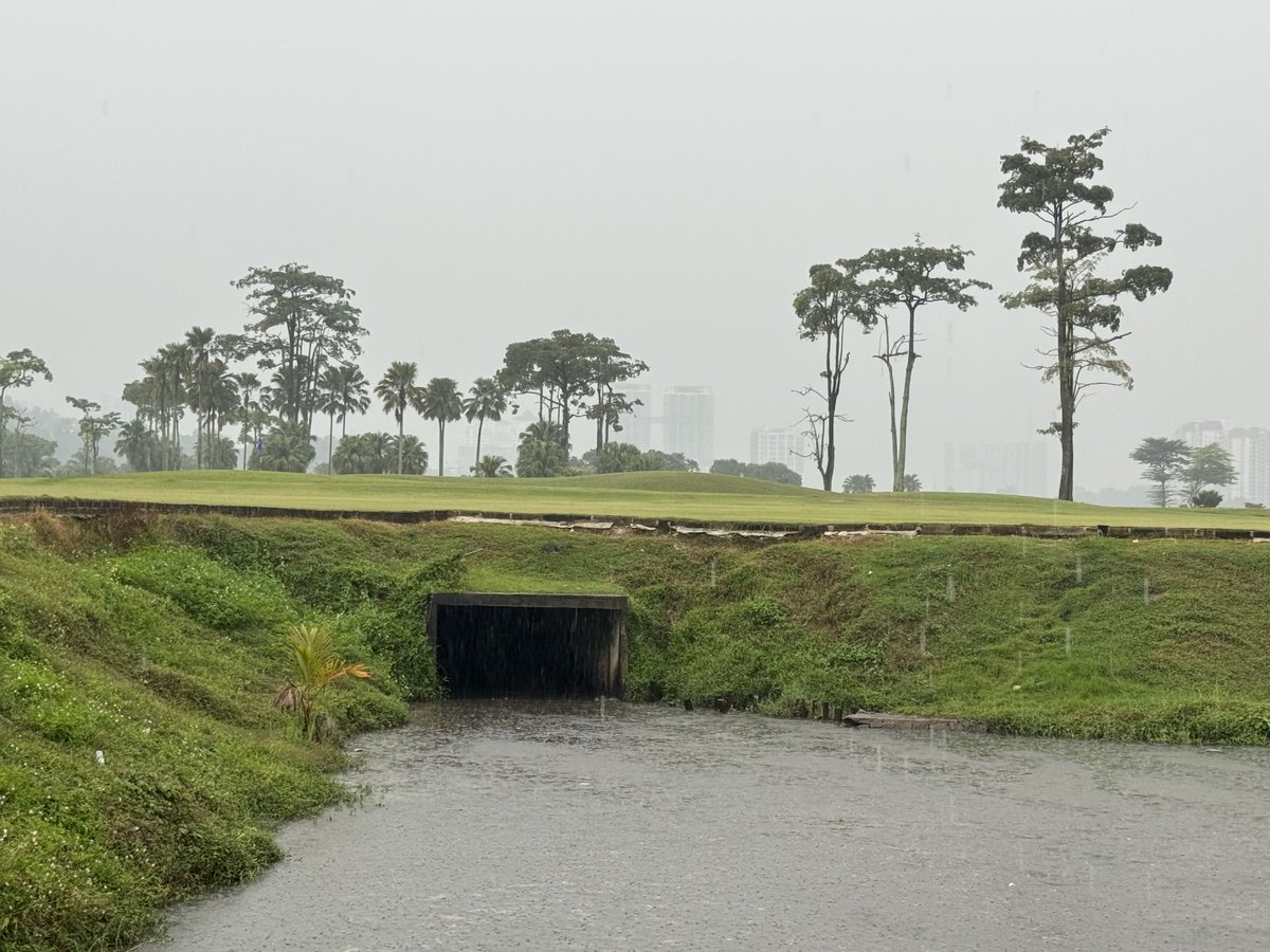 Rex Tattersall tweet media