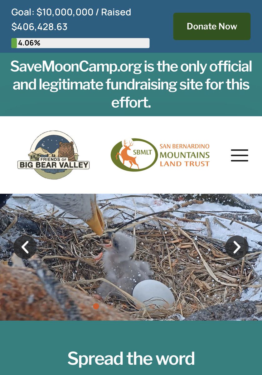 Kristin42685's tweet photo. Save the home of Jackie and Shadow! 

https://t.co/XDcngK3qV4

#savemooncamp #DonateNow #bigbearlake #jackieandshadow #TrendingNow #Trending #savewildlife #baldeagle #Eagles #califonia https://t.co/D4SHogNfVy