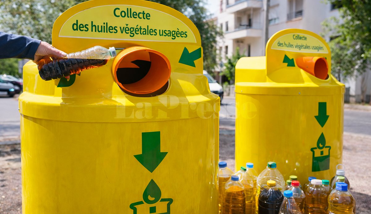 LaPresseTunisie's tweet image. ♻️ #Tunisie | Stop à la pollution ! Les municipalités installent des conteneurs pour collecter vos huiles végétales usagées.💧🚫🧴
Où les trouver ? ⬇️ lapresse.tn/Lapressetn/k7fh
#Recyclage #Ecologie #Tunisie #Environnement #ZéroDéchet #Municipalités #GreenTunisia #LaPresseTN