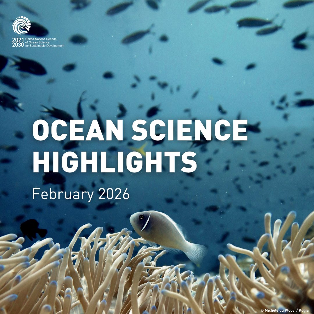 UNOceanDecade's tweet image. What’s new in #OceanScience? 

🐋 New Zealand: Bill on whales' rights introduced to Parliament 
🦈For the first time, a shark has been filmed in Antarctica's waters
🌎 Australia and the United Kingdom get closer to ratifying the #BBNJ Agreement

Read on: ow.ly/Wcmm50YlL4N