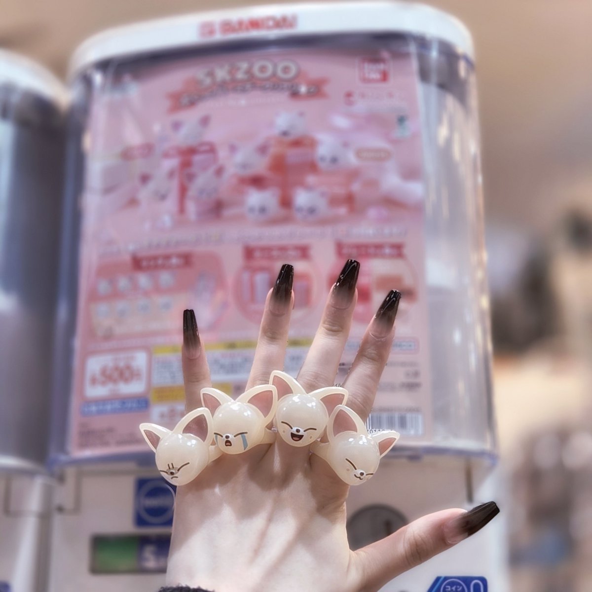 °。。。。° tweet media