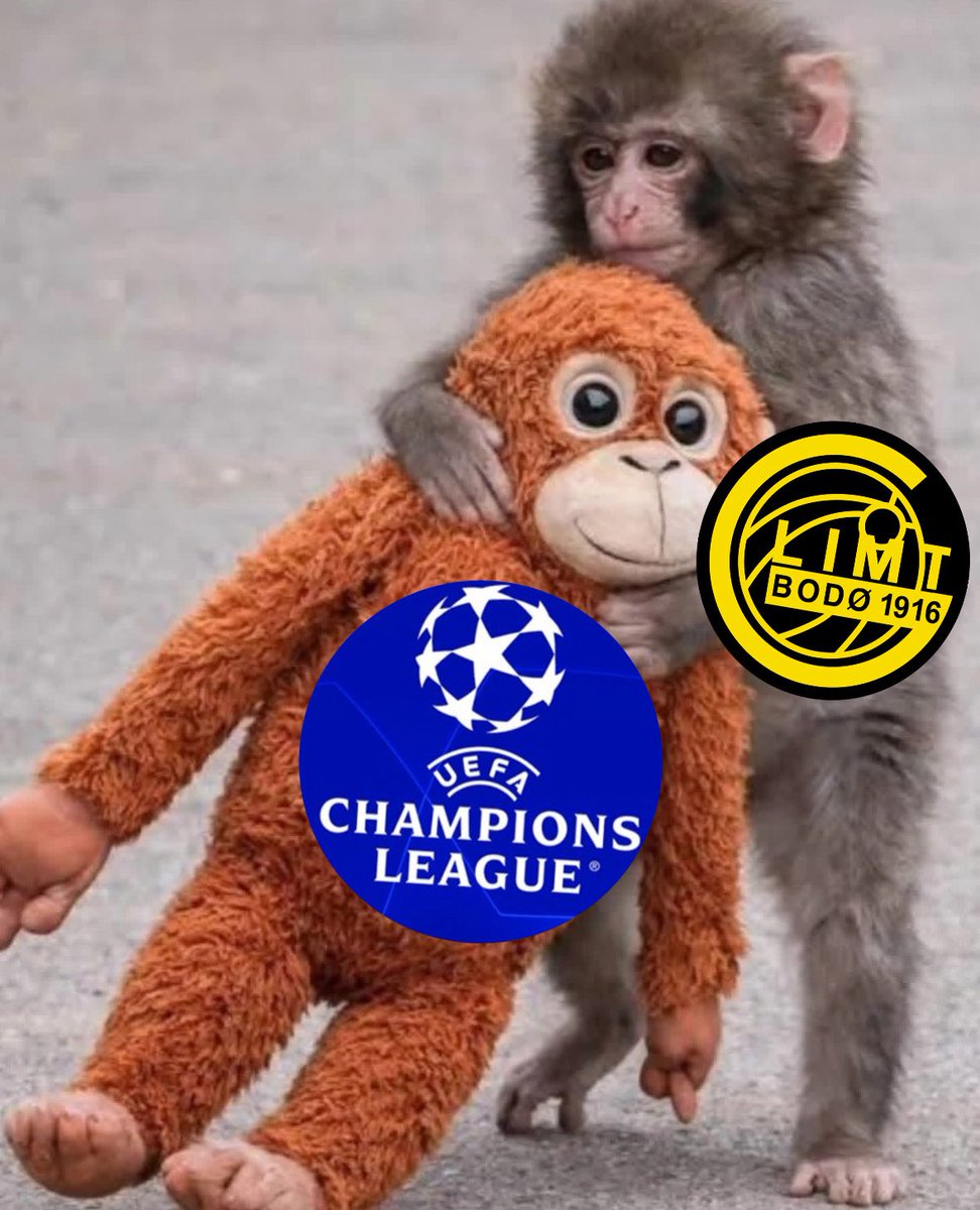 Początek tej edycji Ligi Mistrzów był trudny. Przed serią spotkań z BVB, City, Atletico wydawało się, że to koniec naszej przygody. A aktualnie jesteśmy świadkami historii, która przez wielu zostanie zapamiętana na długie lata.

A to jeszcze nie koniec 👀

Losowanie już w piątek.