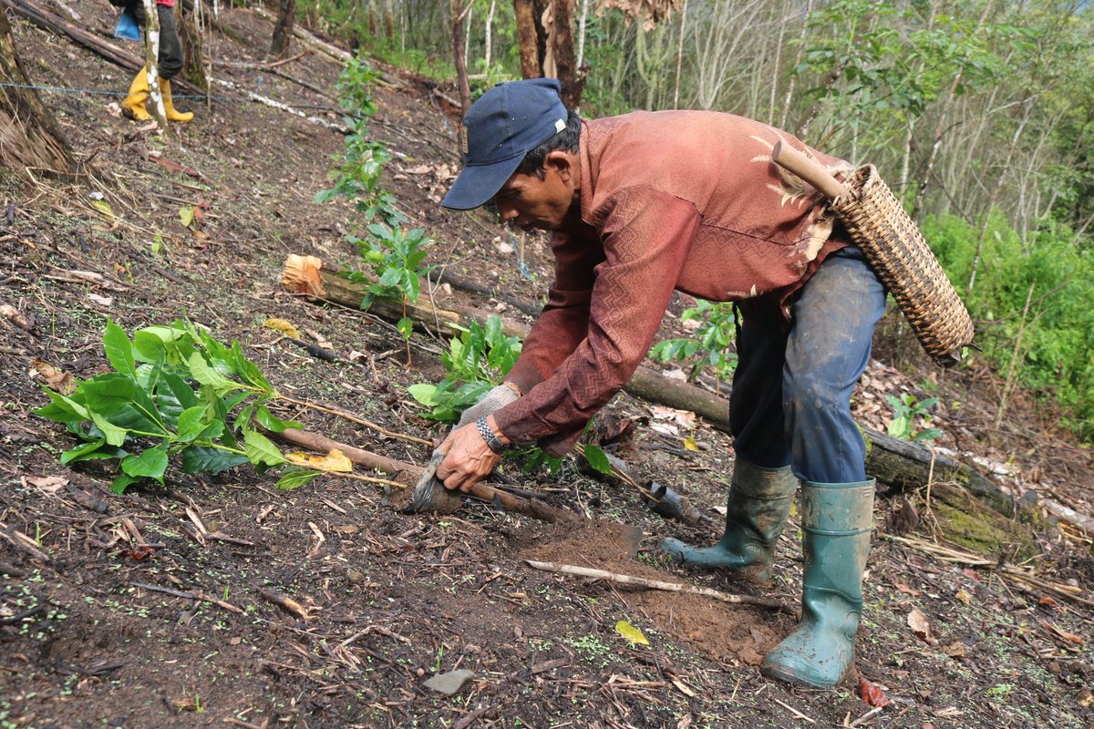 Pebriyansah tweet media