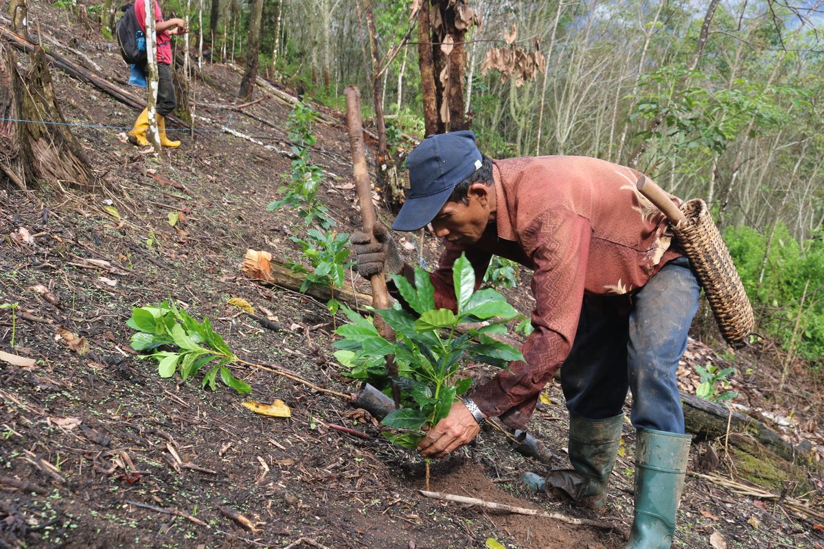 Pebriyansah tweet media