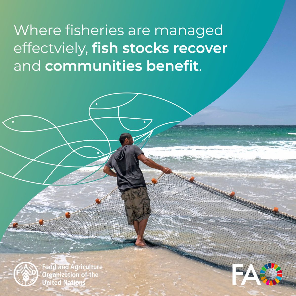 Fisheries & Aquaculture tweet media