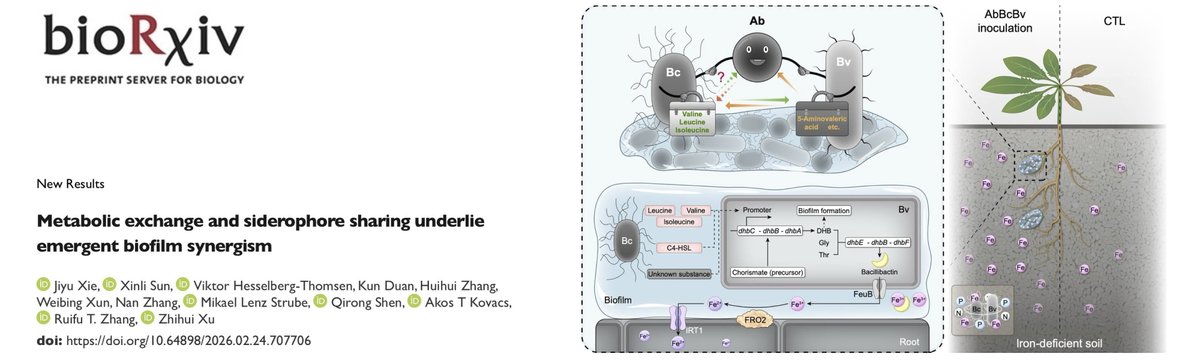 Akos T. Kovacs tweet media