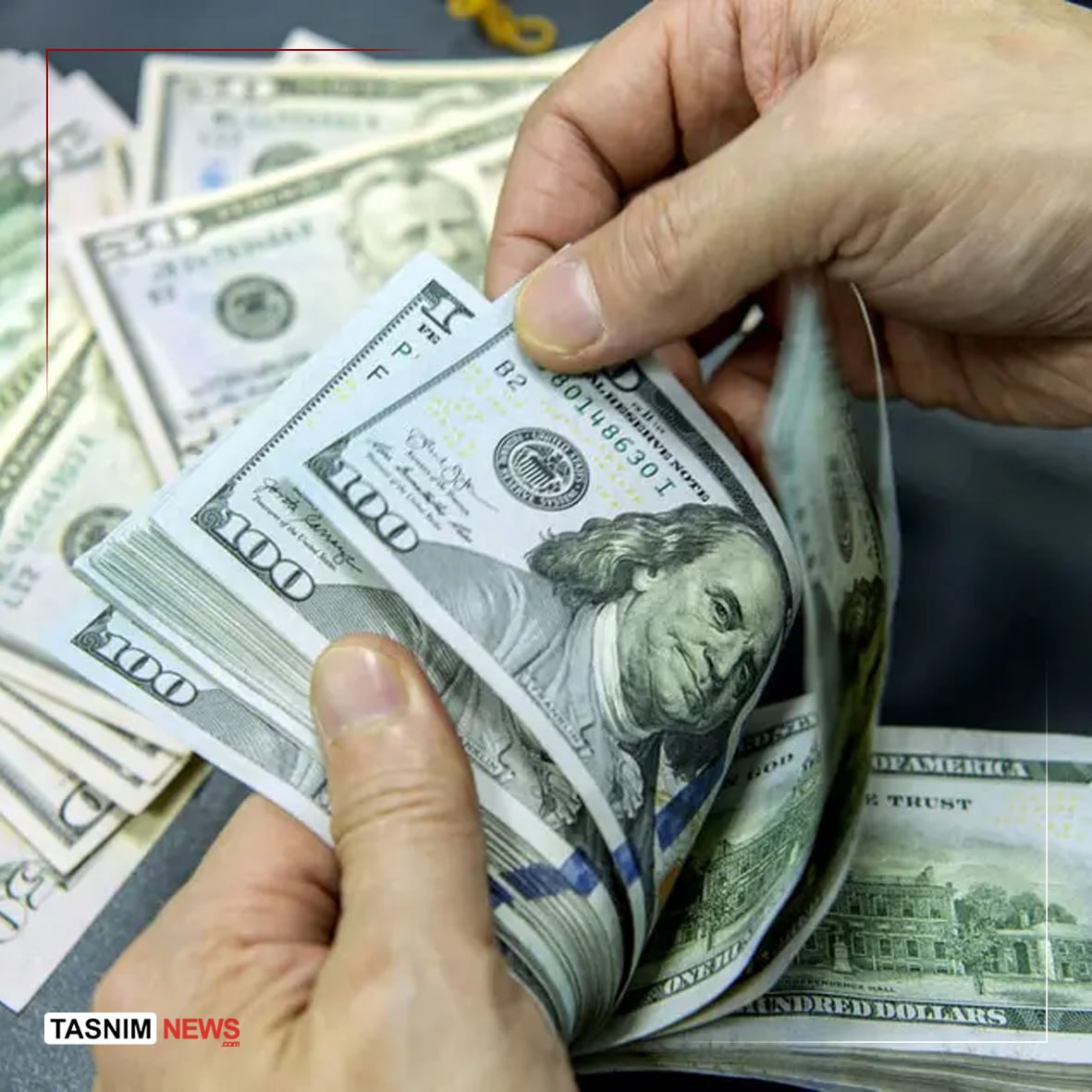 خبرگزاری تسنیم tweet media