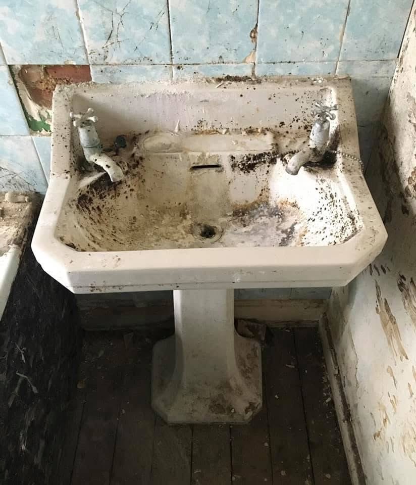 Kellyann Martin tweet media