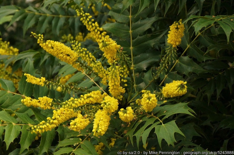 Little Green Space 🦋 tweet media