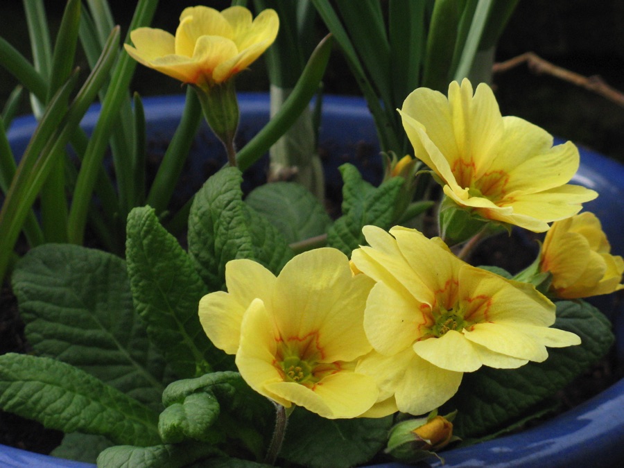 Little Green Space 🦋 tweet media