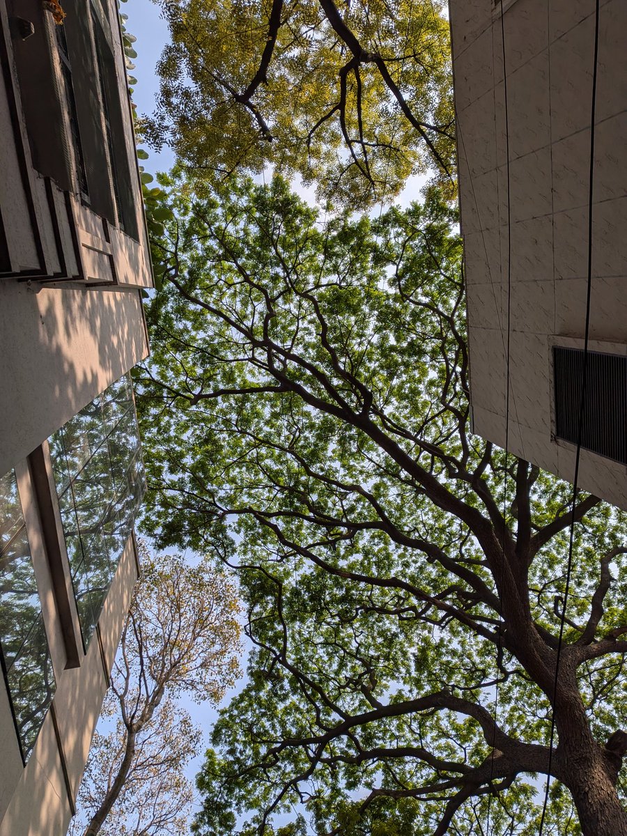 Harsh Singh tweet media