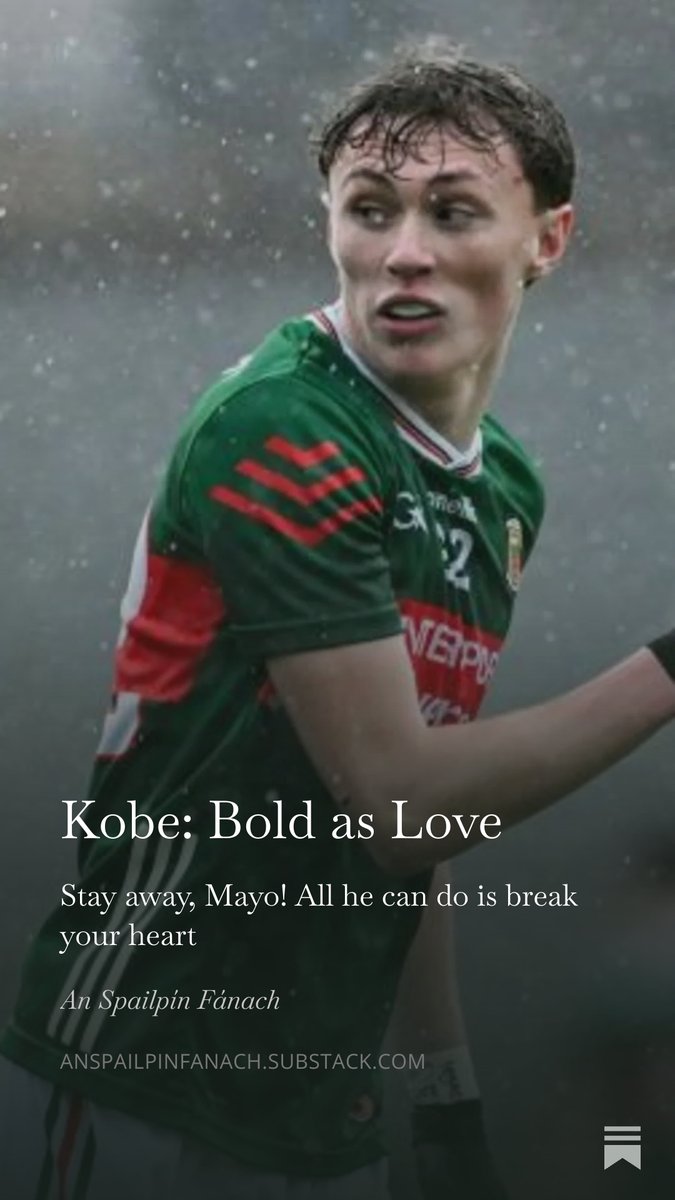 An Spailpín Fánach tweet media