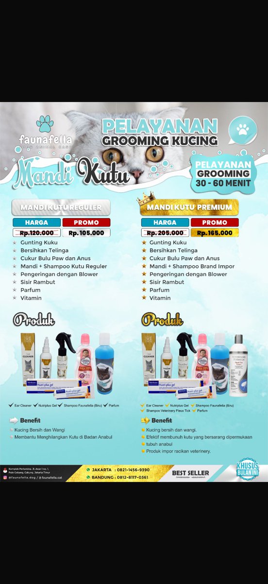 Milo🐥 Uno🦖 tweet media