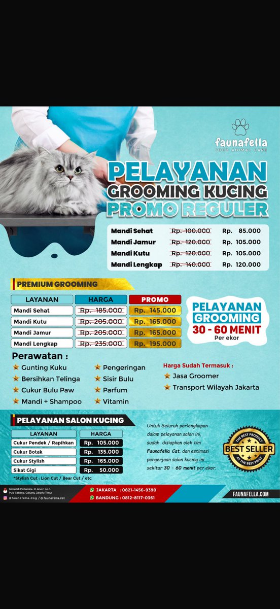 Milo🐥 Uno🦖 tweet media