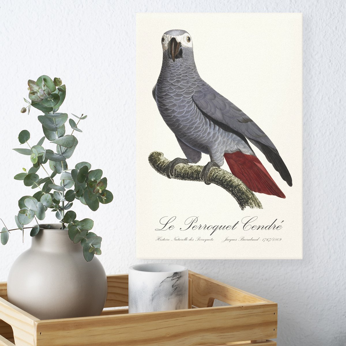 SPJE_Illus_Phot's tweet image. Bring timeless elegance into your space with this stunning Le Perroquet Cendré canvas print 🕊️✨

zazzle.com/le_perroquet_c…

Elevate your walls with a touch of history and nature.

#AfricanGreyParrot #WallDecor #NaturalHistory #Parrots #CanvasPrint