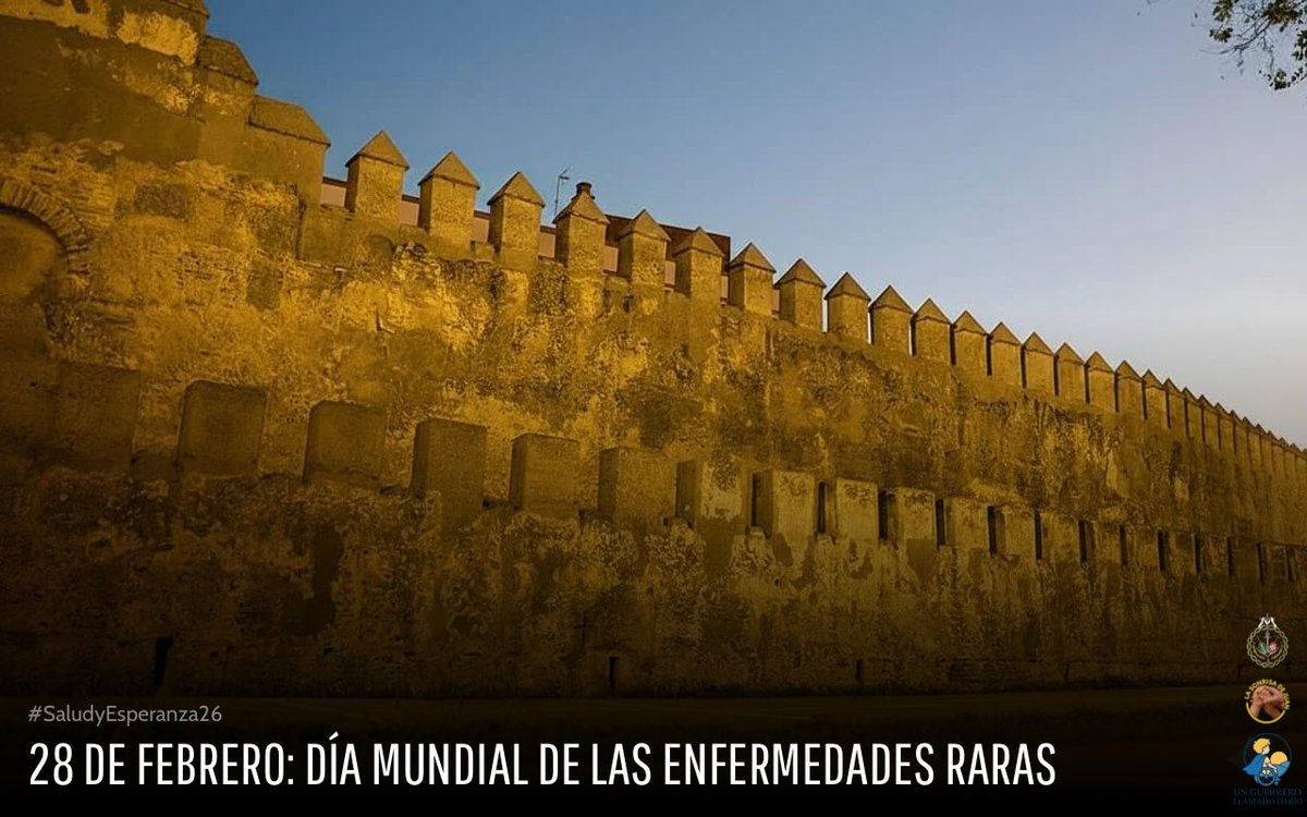 Salud y Esperanza tweet media