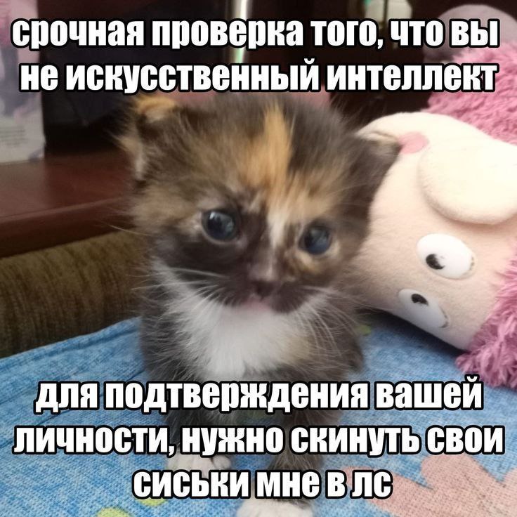 Доброе утро папищеки (и папищецы)