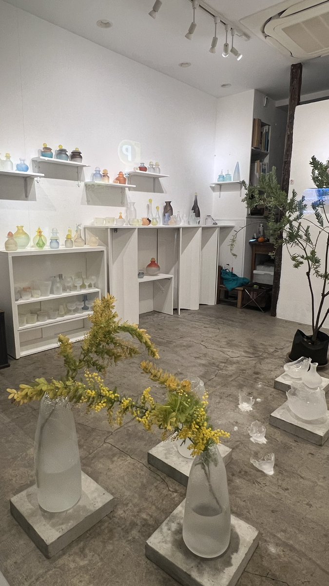 「よはくの庭」鈴木 伊美 個展
明日2月26日(木)13時よりスタートです。ミモザのシンボルツリーと切り花で緩急をつけた舞台のような構成に。季節のうつろい時間を感じるガラス展になりました！
お待ちしています。
<a href="/imiglass_s/">鈴木伊美 / Yoshimi Suzuki</a>