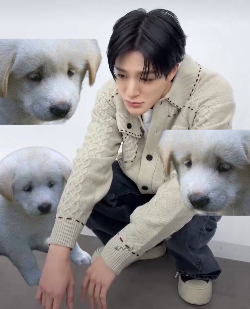 하 대박 신경쓰여요 이강아지