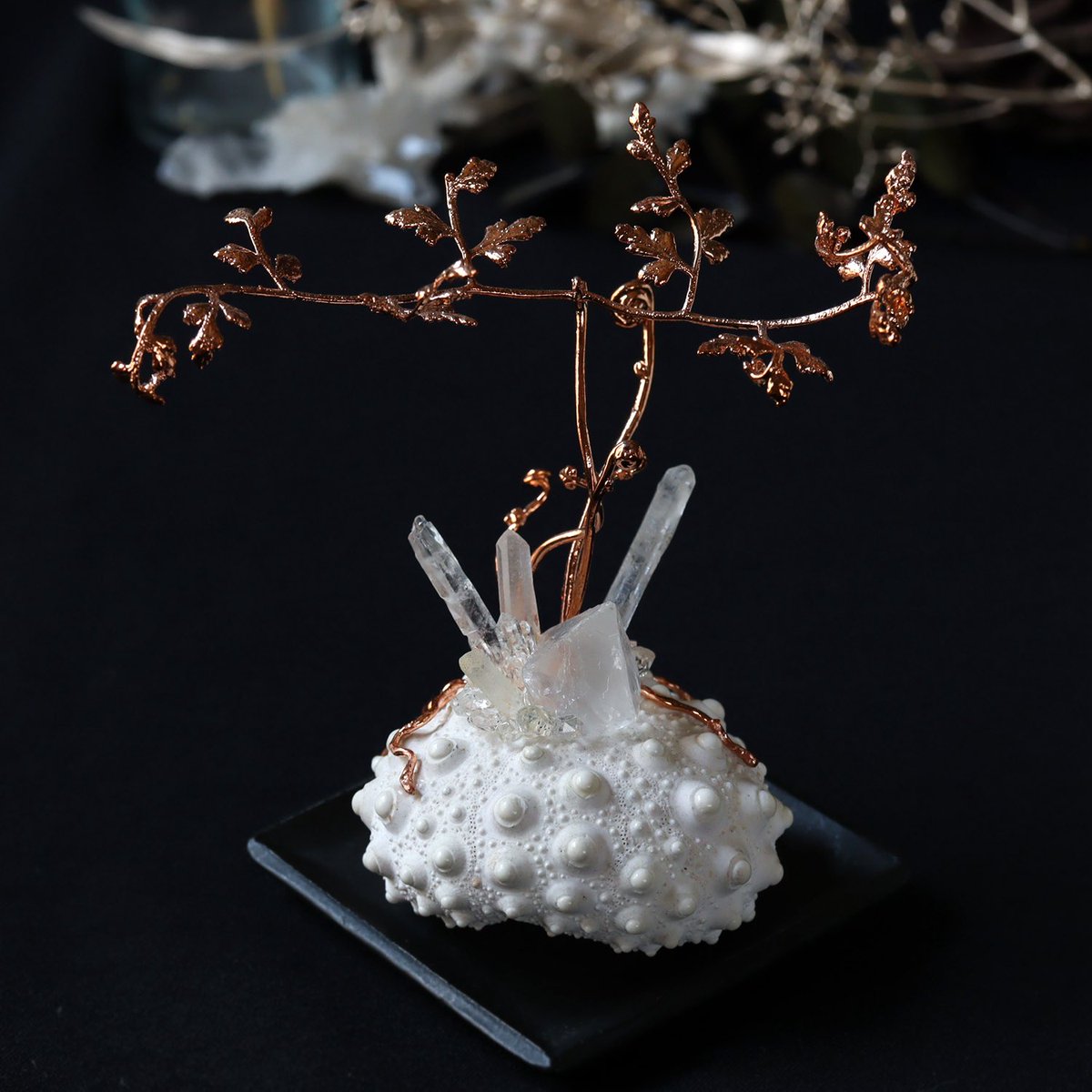 花石💎🌿 (@kaseki_art) / Posts / X