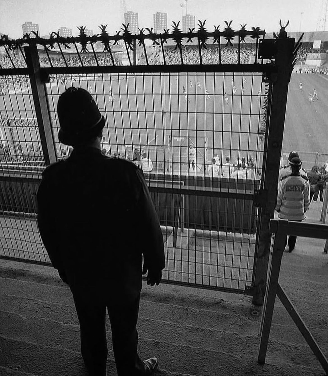 Tony Davis Archive tweet media