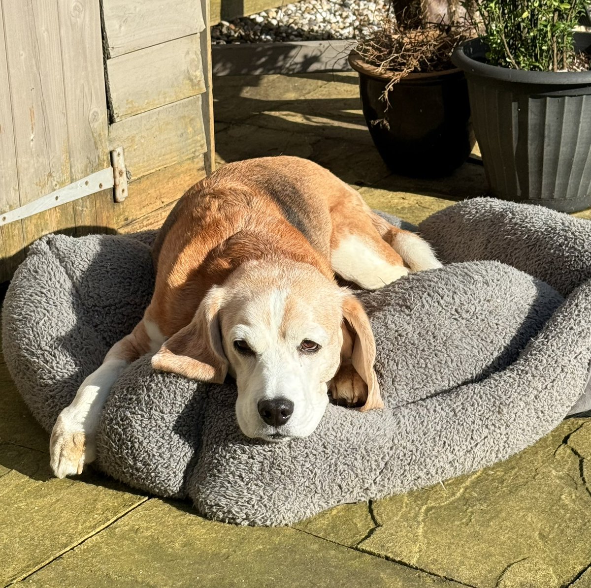 Glen Thompsett tweet media