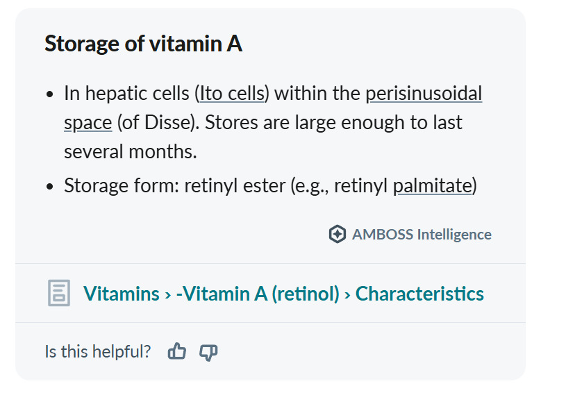 MedAmboss's tweet photo. @AB_drmd A: Ito cell 
Source: Amboss 📖 https://t.co/0SzOFiV6bi