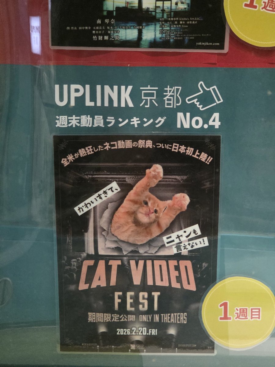 Sin_77TA's tweet photo. #CatVideoFest ゆる~く楽しめたニャン😸
ネットに流れてるような動画やたまにアニメを挟んで観る73分、���秒から数十秒程度の動画をある程度テーマわけして上映されてあっという間だった😄
収益の一部は猫の支援活動に寄付されるみたいなので今後日本でもCatVideoFestが根付いていけば良いな~✨ https://t.co/AWVlTDC9Aj